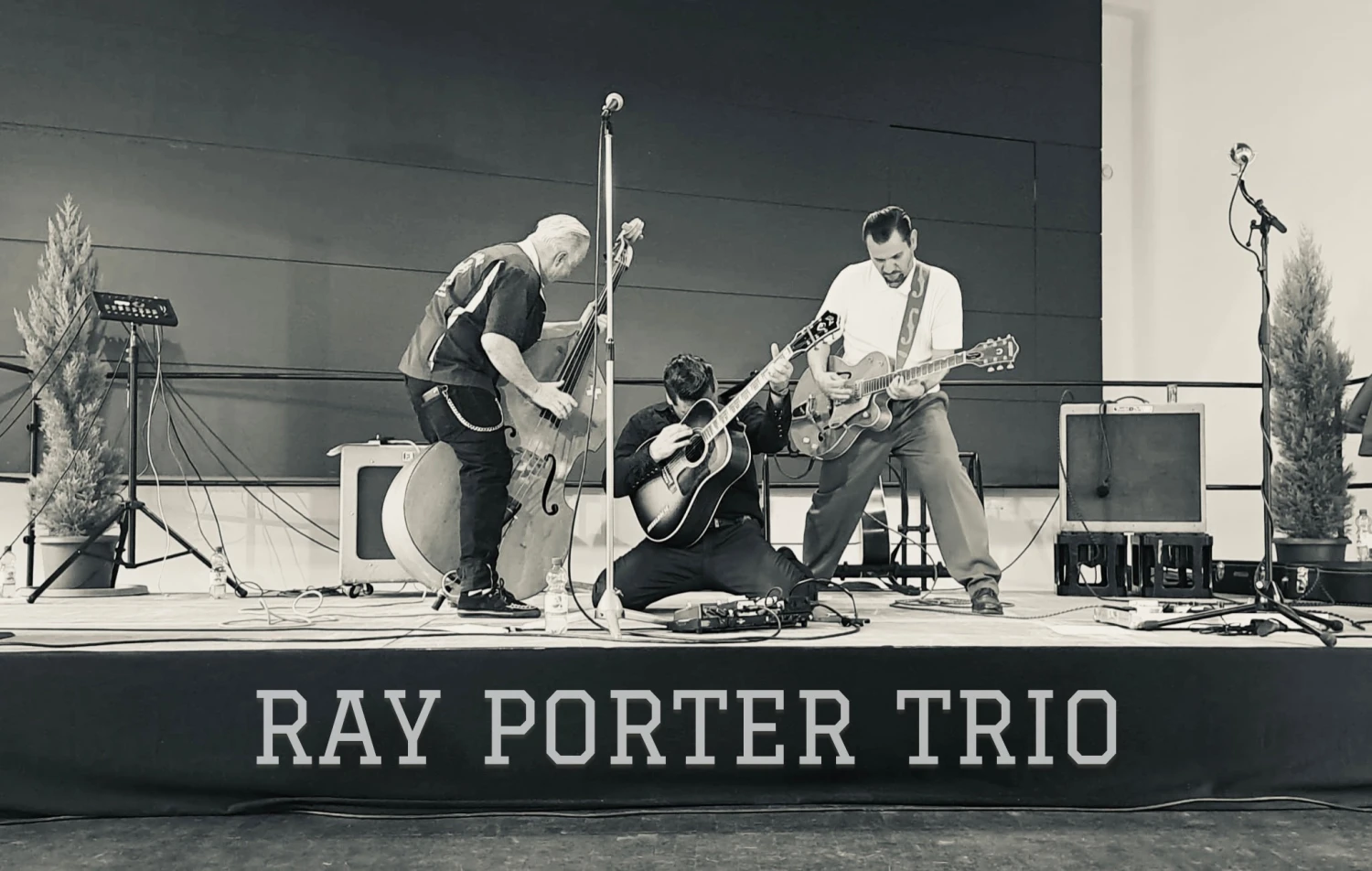 Zwei Sänger mit Gitarre von porter music